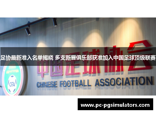 足协最新准入名单揭晓 多支新晋俱乐部获准加入中国足球顶级联赛